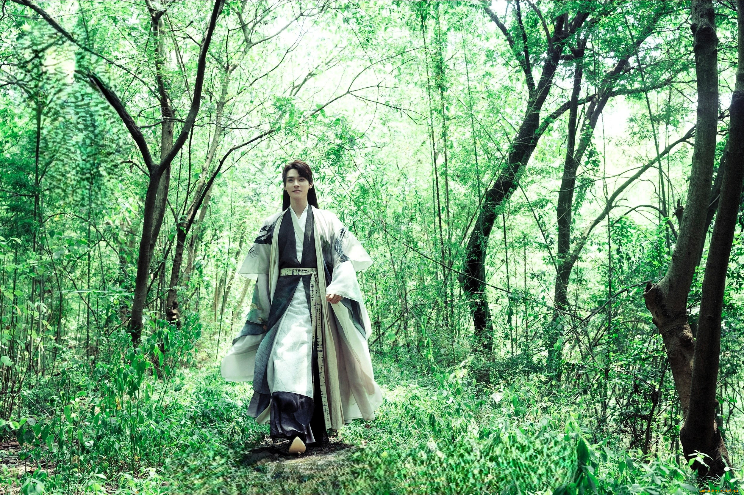 fox spirit matchmaker yue hong,  , , , , 